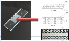 多通道与多孔（十万个）对准键合芯片