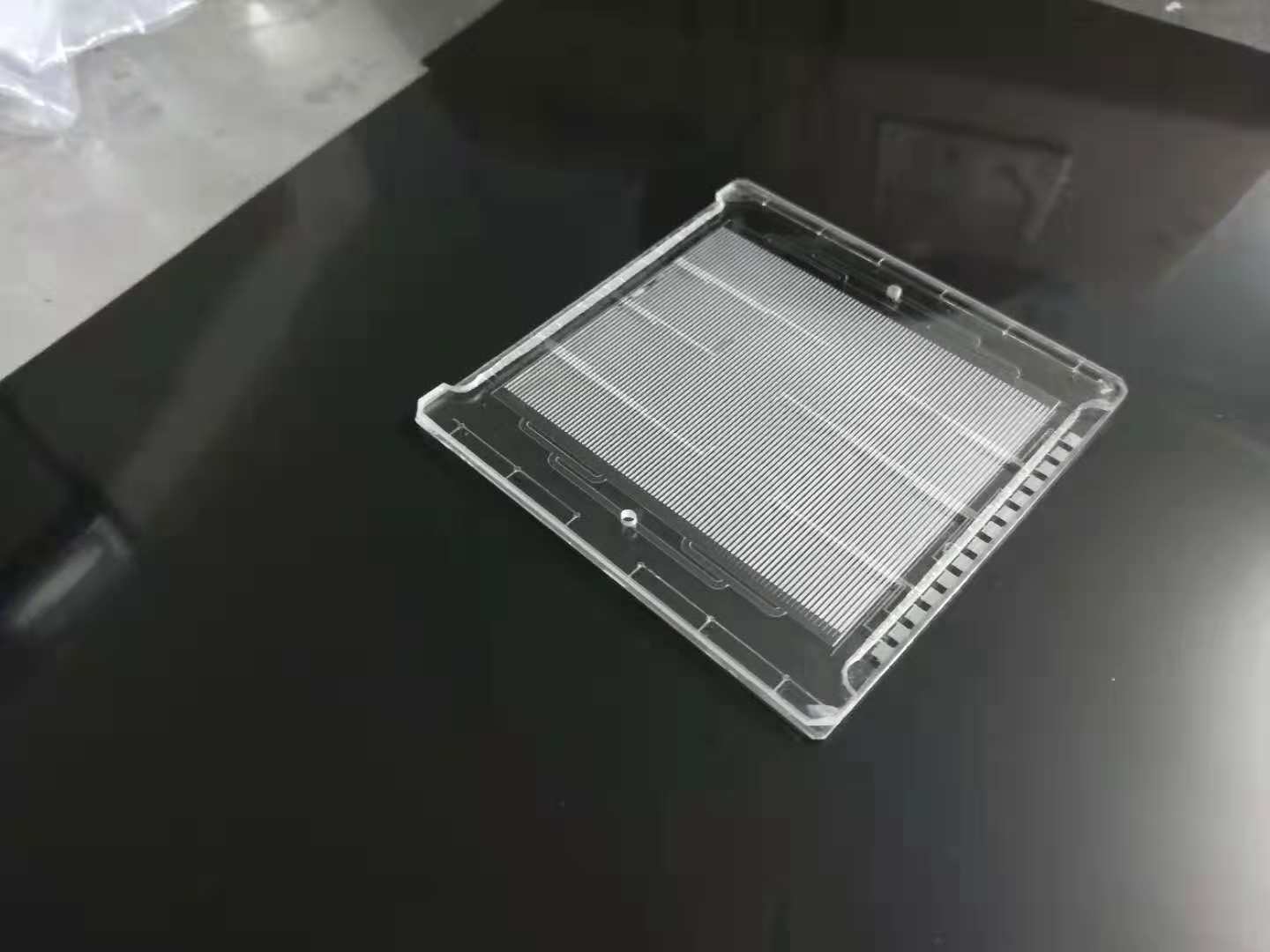 玻璃-铂电极芯片