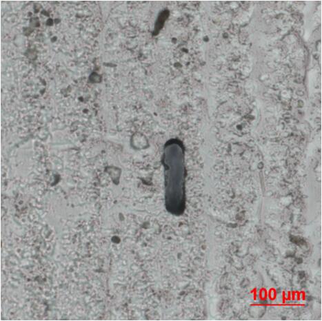 双层对准结构通道截面200倍图
